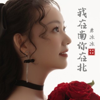 我在南你在北 lyrics | Boomplay Music