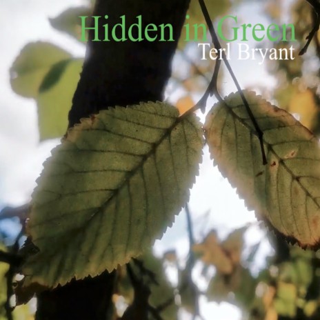 Hidden In Green | Boomplay Music