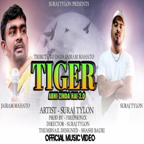 TIGER 2.0 झुमतो झारखंड | Boomplay Music