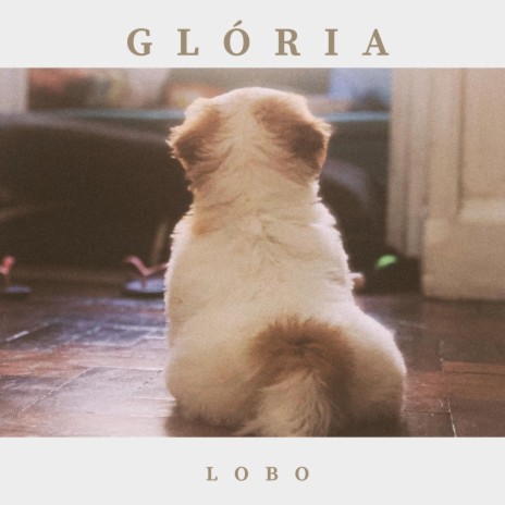 Glória | Boomplay Music