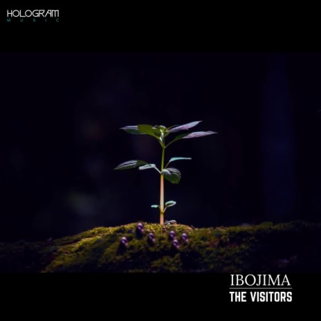 The Visitors | Boomplay Music