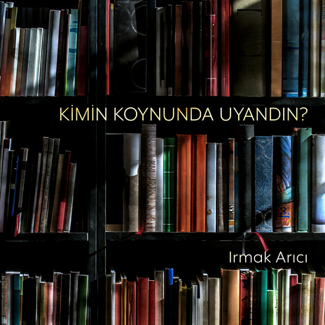 Kimin Koynunda Uyandın? | Boomplay Music