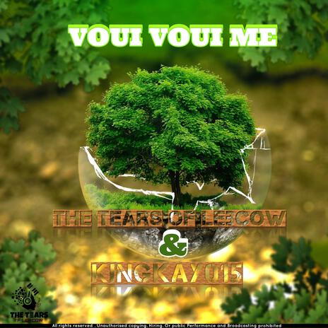 VOUI VOUI ME ft. KingKay015 | Boomplay Music