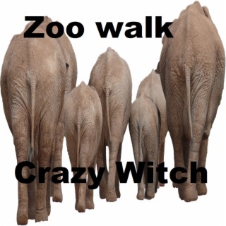 Zoo walk