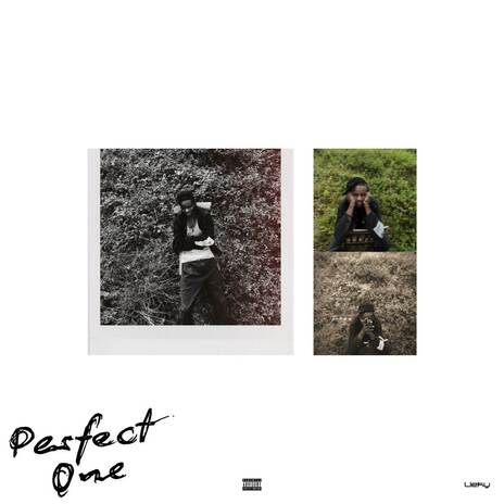 Perfect One | Boomplay Music