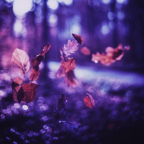Solitude (Autumn Leaves) | Boomplay Music