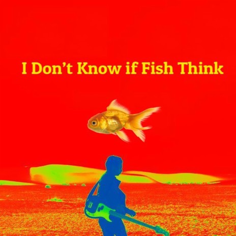 I Don't Know if Fish Think | Boomplay Music