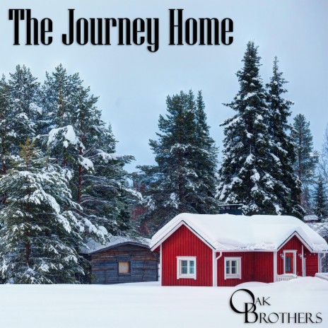 The Journey Home | Boomplay Music