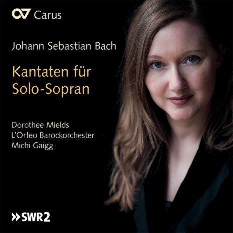 J.S. Bach: Mein Herze schwimmt im Blut, Cantata BWV 199 - No. 4 "Tief gebückt und voller Reue" ft. Lucas Schurig-Breuss, Carin van Heerden, L'Orfeo Barockorchester & Michi Gaigg | Boomplay Music