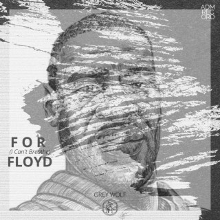 For Floyd (I Can't Breathe) lyrics | Boomplay Music