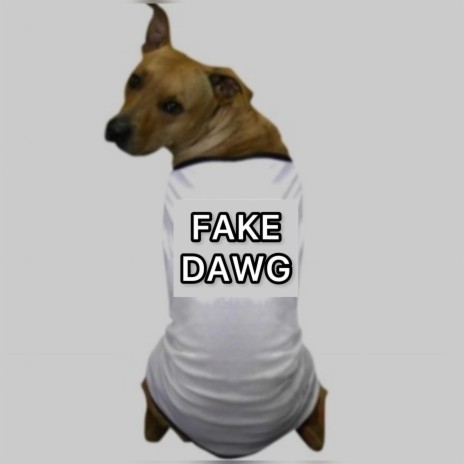 fake dawg | Boomplay Music