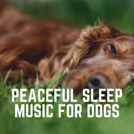 Dog chill hot sale music