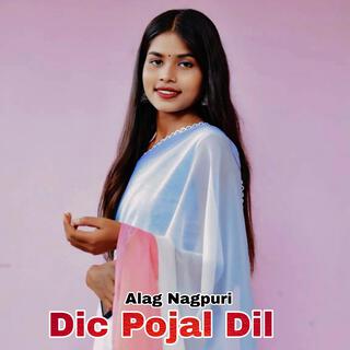 Dic Pojal Dil