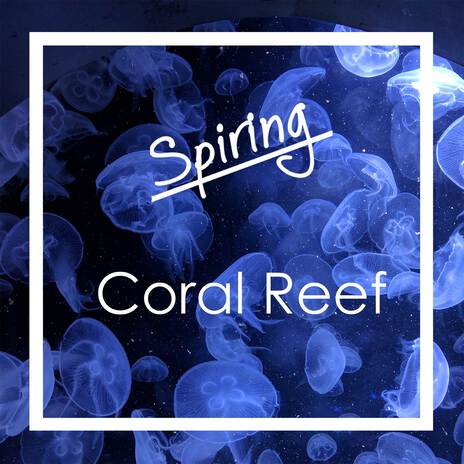 Coral Reef | Boomplay Music