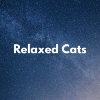 Relaxed Cats