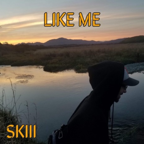 Like Me | Boomplay Music