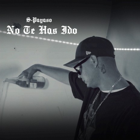 No Te Has Ido | Boomplay Music