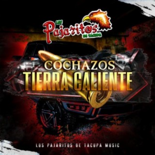 Cochazos Tierra Caliente