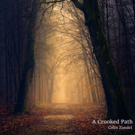 A Crooked Path | Boomplay Music