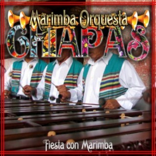 Marimba Orquesta Chiapas