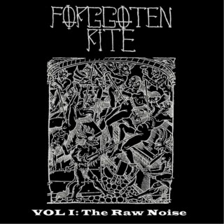 Vol I: The Raw Noise