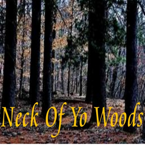 Neck Of Yo Woods