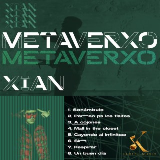 MetaVerxo