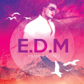 Total EDM Miami Latino Hits 2015