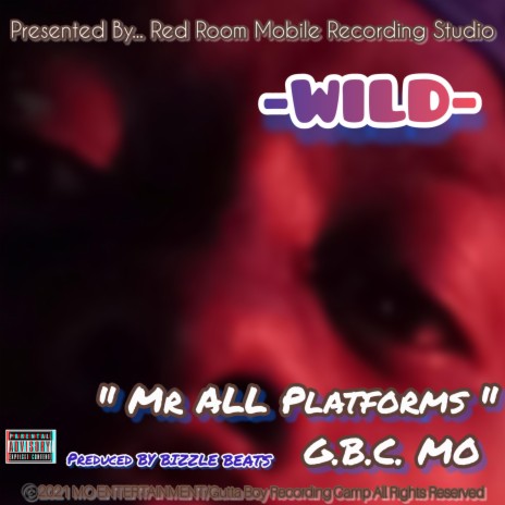 Wild | Boomplay Music