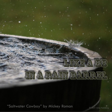 Like a BB in a Rain Barrel | Boomplay Music