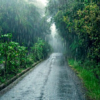 Lluvia Relajante Para Dormir - Sonido de Lluvia en el Bosque - Rain Sounds For Sleepin