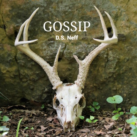 Gossip | Boomplay Music