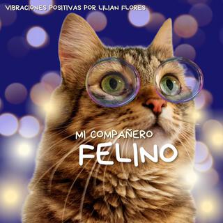 Mi compañero felino