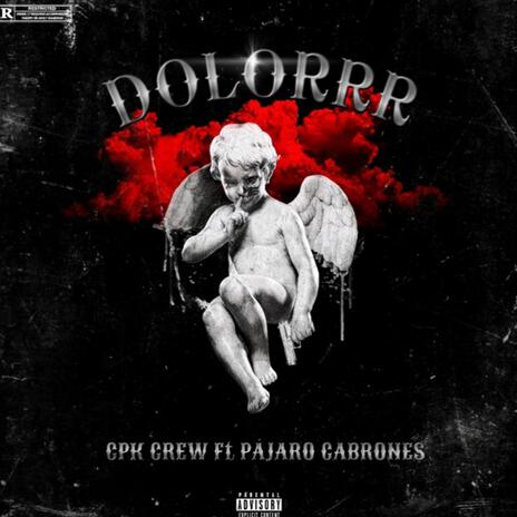 Dolor (Pajaro Cabrones) | Boomplay Music