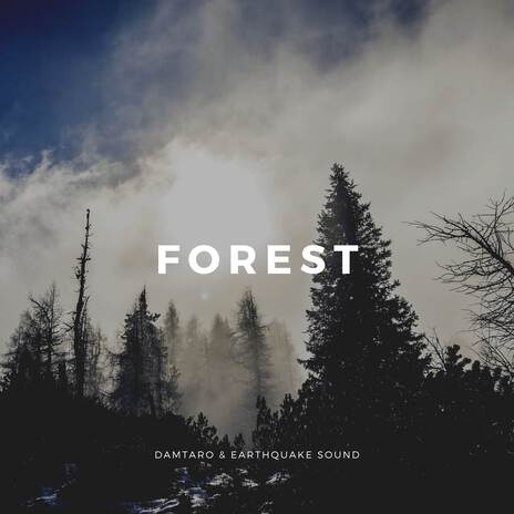 Forest ft. Earthquake Sound | Boomplay Music