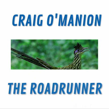 The Roadrunner | Boomplay Music