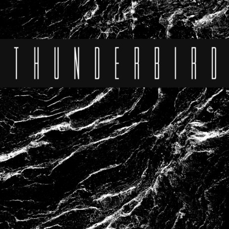 Thunderbird | Boomplay Music