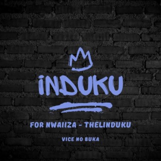 Induku (For Nwaiiza Thelinduku)