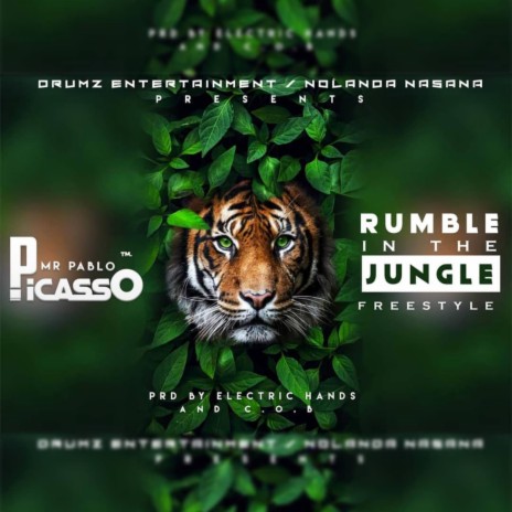 Rumble in the jungle | Boomplay Music