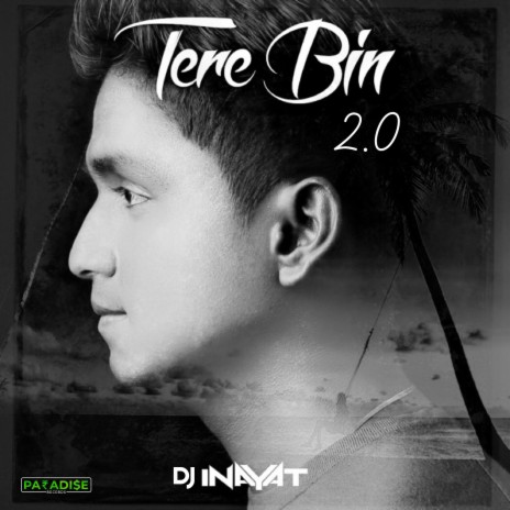 Tere Bin 2.0 | Boomplay Music