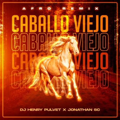 Caballo Viejo (DJ Henry Pulvet Remix) ft. DJ Henry Pulvet