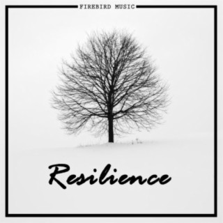 Resilience