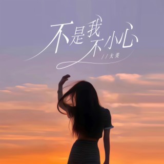 不是我不小心 (cover: 张镐哲) lyrics | Boomplay Music