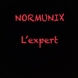 L'expert