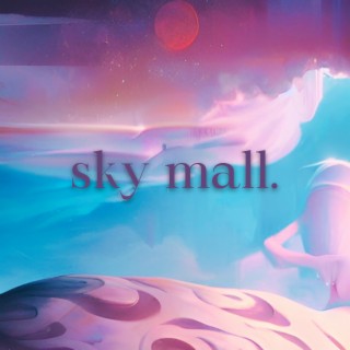 sky mall. featuring Brad!
