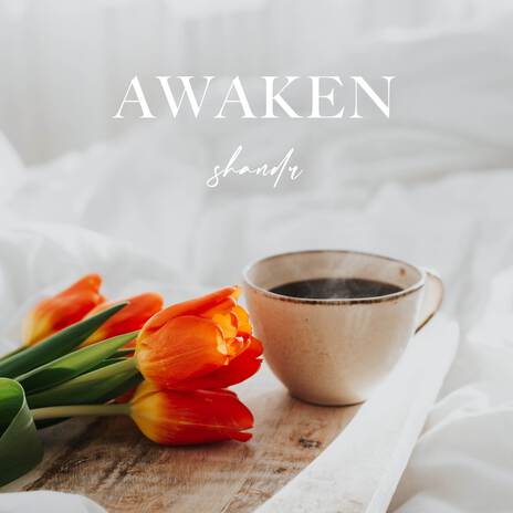 Awaken | Boomplay Music