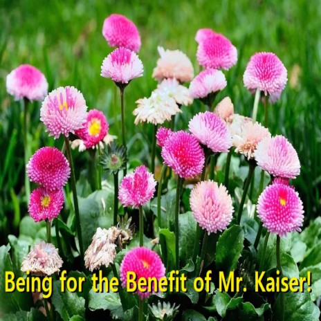Being for the Benefit of Mr. Kaiser!