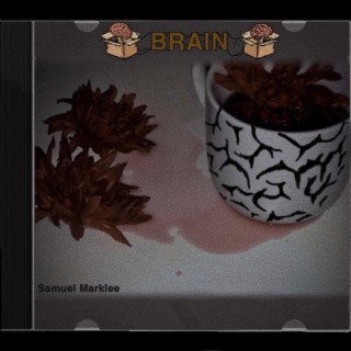 Brain