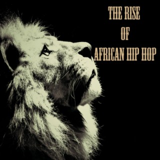 The Rise Of African Hip Hop