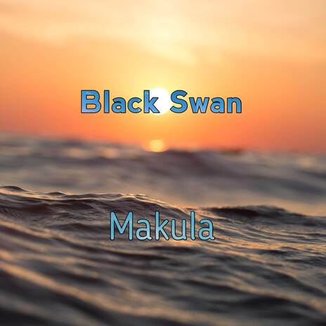 Black Swan | Boomplay Music